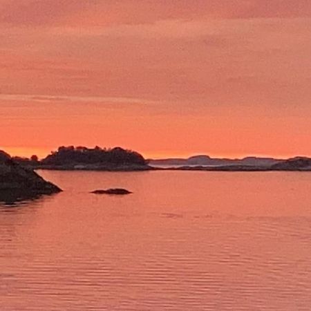 Eksklusiv Rorbu - Havblikk 1 - Batutleie Villa Bekkjarvik Buitenkant foto